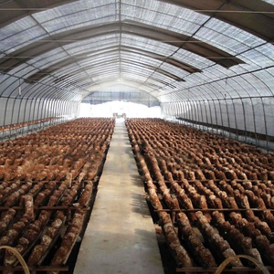 Film de serre pour la culture des champignons offrant une isolation thermique et un contrôle stable de la température Fabriqué au Vietnam - Product Image 1
