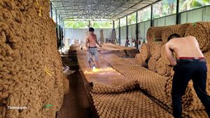 Tapis de coco en fibre de coco naturelle respectueux de l'environnement de haute qualité Plaid uni tissé en gros Vietnam Contactez Mme Hanie pour les rouleaux d'emballage - Product Image 5