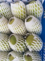Premium biologische natuurlijke zoete verse mango AA-kwaliteit beste kwaliteit en prijs uit Vietnam