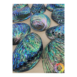 เปลือกหอยเป๋าฮื้อธรรมชาติสำหรับงานหัตถกรรมสร้อยคองานฝีมือเปลือกหอยทำด้วยมือของขวัญจากเปลือกหอยธรรมชาติขนาดใหญ่แบบทำมือ - Product Image 4