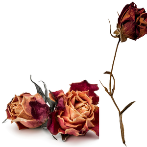 Flor de rosa roja seca | Pétalos decorativos para ocasiones festivas y regalos - Product Image 1