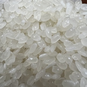 ข้าวกลมพรีเมียมซากุระโคชิฮิคาริ ชูชิ ญี่ปุ่นนิก้า - ขายส่งจำนวนมาก ส่งออกตั้งแต่ 1 กก. ถึง 100 กก. |   ตัวอย่างฟรี +84 867582238 - Product Image 2