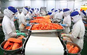 Papaya Seca Suave de Vietnam al Mejor Precio y MOQ Bajo, Fruta Tropical Dulce Natural en Rodajas, Venta al por Mayor a Granel - Sra. Tarina - Product Image 2