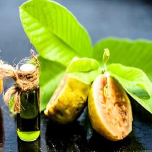 100% huile de support de graines de goyave pure huile de support de graines de goyave en vrac en gros huile de support de graines de goyave naturelle et pure - Product Image 2