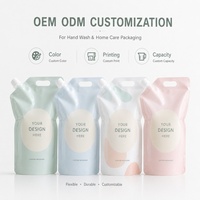Pochettes souples à bec verseur OEM/ODM pour emballage liquide, avec logo personnalisé, poignée et base stable, en plastique vide rechargeable