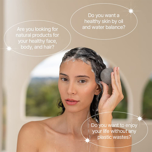 Erigeron All-in-One thuần chay dầu gội bóng-Than đen + gỗ bạch dương trường hợp Hàn Quốc dầu gội đầu - Product Image 3