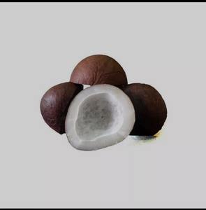 Noix de coco déshydratée de qualité supérieure (TH) - Durée de conservation de 2 ans en vente - Product Image 4
