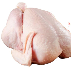 Pollo entero congelado Halal de grado premium, calidad de exportación baja en carbohidratos, estrictamente procesado y empaquetado en instalaciones higiénicas certificadas - Product Image 6