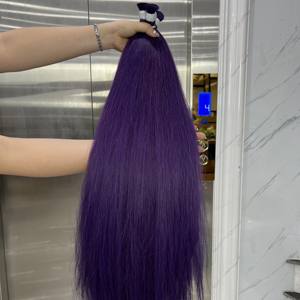 Extensions de cheveux humains vietnamiens en gros Double Drawn Long Smooth Purple Color Bulk Hair - Product Image 3
