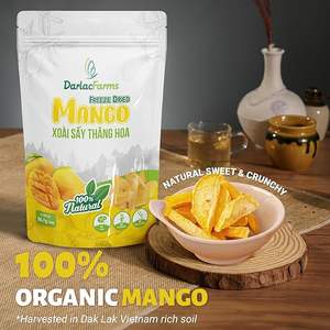 Mango Deshidratado en Rodajas, Dulce, Crujiente y Premium, 100% Original de Darlac Farms, Tamaño Personalizable, Certificado ISO - Product Image 2