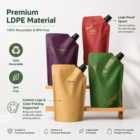 Pochette souple personnalisée en LDPE écologique avec bec verseur, 0,16 mm, étanche, pour détergent liquide et jus, support OEM ODM