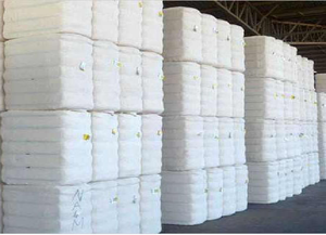 Fibra de Algodón de Color Blanqueada en Fardos, Material de Relleno Ecológico, Transpirable y Antibacteriano para Hilado y Tejidos No Tejidos - Product Image 3