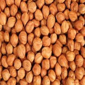 Nueces de Avellana de la Mejor Calidad, Empacadas a Granel en Bolsas Grandes, Nueces Frescas al Vacío Listas para Fabricantes de Alimentos - Product Image 2