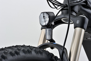 Vélo <span class=keywords><strong>de</strong></span> ville électrique V20 du fabricant OEM, suspension intégrale, moteur central amovible 1000W, assistance au pédalage, style vintage, 30-40km - Product Image 6