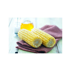 Maíz Amarillo para Consumo Humano y Animal, Sin OMG, Glutinoso, Seco, de Alta Calidad, Certificado HACCP, Origen Estadounidense, Venta al por Mayor - Product Image 5