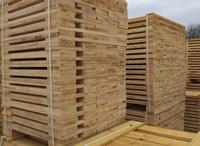 Wholesale Natural Pine Wood Lumber Kiln Dried Pine Timber Boards Sawn Wood Planks for Construction Furniture pallet wood