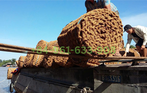 Alfombra de Fibra de Coco, Alfombra de Fibra de Coco NET, Alfombras de Fibra de Coco para Puerta, Fibras Agrícolas para Agricultura, para Exteriores, para Animales, para Plantas, para Aceras - Product Image 3