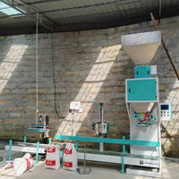 Suministro de fábrica, embolsado Granular 20kg 25kg 50kg, pesaje de granos, granos de café, arroz, maíz, sal, azúcar, gránulos, máquina de envasado y llenado