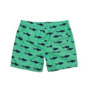 Pantalones cortos de playa de secado rápido OEM de fabricante personalizado para hombre, bañadores estampados de alta calidad, ropa de playa para hombre - Product Image 2