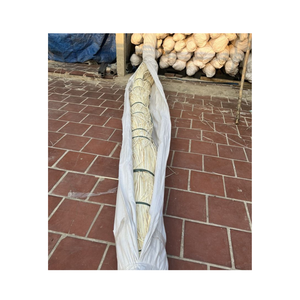 Estándares de calidad superior Rattan Core Square Knitting Rattan/Rattan spline se hace en Vietnam - Product Image 1