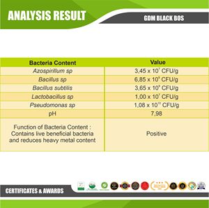 GDM Black BOS (สารกระตุ้นชีวภาพอินทรีย์) สำหรับดิน L ปุ๋ยอินทรีย์ที่ดีที่สุดสำหรับดินในอินโดนีเซีย - Product Image 2