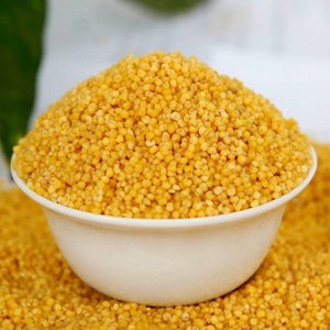 <b>Millet</b> For Human Consumption Gluten Free Whole Grain Rich In Direct Factory Supply Suitable For Bulk Orders For Sale - Product Image 2