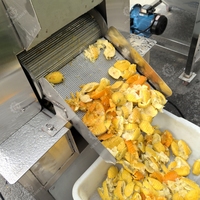 Extracteur Industriel Haute Efficacité 1T à Double Rouleau pour Jus et Pulpe, Moteur 5500W 380V pour Jus de Pomme et d'Orange