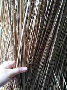 Balai de noix de coco artisanal pour un nettoyage efficace Solution écologique pour balayer les feuilles et les espaces extérieurs - Product Image 2