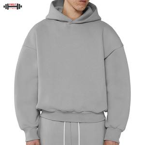 Boxy Fit 300gsm Blanks Haute Qualité 100% Coton Hoodies Logo Personnalisé Polaire Unisexe French Terry Heavy Weight Winter Plain Dyed - Product Image 1