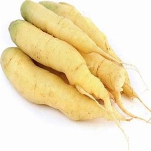 Carottes fraîches biologiques disponibles à prix de gros - Product Image 4