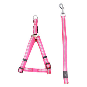 Set di Imbracatura e Guinzaglio Riflettente in Nylon per Cani e Gatti, Comodo e Antifuga, Stile Solido in Materiale Oxford - Product Image 2