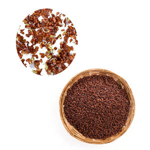 Berro | Hoja botánica Verde | Suministro gourmet saludable - Product Image 4