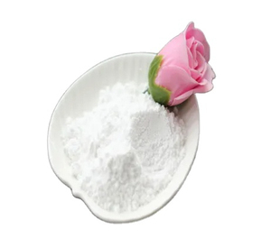 Calidad superior 100% Alimentos orgánicos Grado de sal blanca Cristal blanco natural Sal blanca del Himalaya Forma de polvo Venta blanca Uso - Product Image 3