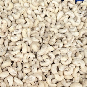 Vente en gros de noix de cajou crues de haute qualité en coque W240 450 Sw Santigo Factory Vietnam Exportées vers l'UE, Moyen-Orient - Product Image 1