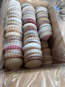 Coquillages vietnamiens exquis: Vente en gros pour les marchés mondiaux - Product Image 5