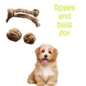 Веревочные шарики, игрушки для домашних животных из coir, не загрязняющие окружающую среду, высокое качество, из Вьетнама, низкая цена