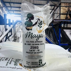 Sal Marina Celta Refinada Maya, 25 kg, Sal de Mesa en Polvo a Granel, Grado Alimenticio, Yodo Opcional, en Bolsa y Sobres, Venta al por Mayor en Todo el Mundo - Product Image 1