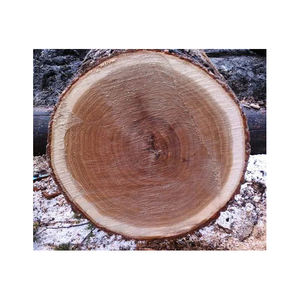 Bûches de bois de chêne séchées au four de haute qualité Diamètre de longueur personnalisé pour la fabrication de meubles Bois de chêne brut de produits liés à l'énergie - Product Image 3