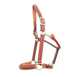 Halter polo léger réglable pour chevaux Construction de sangle durable Rembourrage doux Ajustement confortable pour l'entraînement et l'équitation - Product Image 6