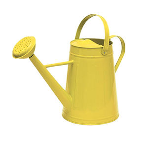 New Design Metal Watering Can Manufacturer and Wholesaler Customized Galvanized <b>Garden</b> Watering Can - Product Image 6