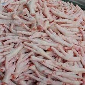 Pattes de poulet congelées en bloc en boîte et réduction des prix de gros pour l'exportation - Product Image 5