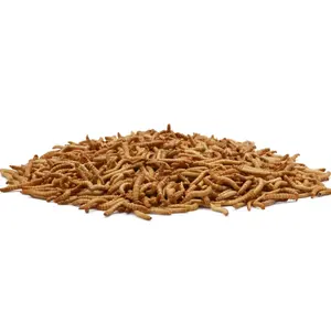 Yüksek protein mealworm kuru böcek evcil hayvan gıda tavuk ve hayvan yemi düşük fiyat için kurutulmuş mealworms