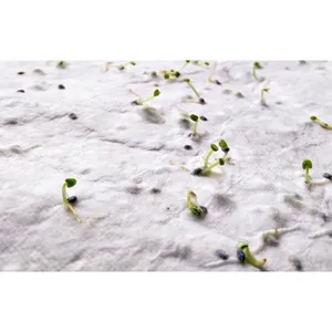 ASIDE A5 Sheet Eco-Friendly <b>Paper</b> <b>Seeds</b> Craft Gadgets - Product Image 2