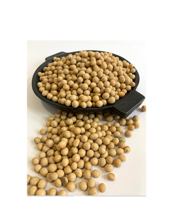 Orgánica Premium de alta calidad de soja de estilo seco Envasado a granel Cocinar Hornear Beneficios nutricionales 10kg 24 meses Vida útil - Product Image 6