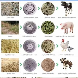 Coban nouvelle machine à granulés d'alimentation animale pour poulet porc bovins moutons 110V/220V/380V 60-3000 kg/h capacité - Product Image 6