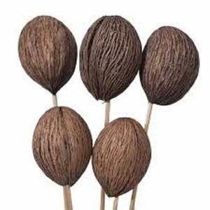 ลูกบอลมินอลต้าคุณภาพระดับพรีเมียมแบบทำมือสำหรับงานแต่งงานงานกิจกรรมบ้านสำนักงานและการจัดดอกไม้แห้ง - Product Image 1