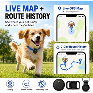 Rastreador GPS Inteligente para Perros, Resistente al Agua, de Plástico, Antipérdida, Localizador de Ubicación para Mascotas, Sin Cuota Mensual, para Autos - Product Image 4
