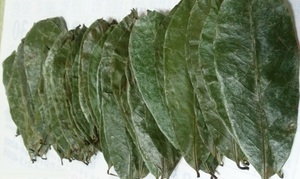 Feuilles de corossol séchées de qualité supérieure 1 kg, feuilles de graviola cultivées à la ferme pour tisane, 100% naturelles, biologiques, thé de corossol 99 GD - Product Image 5