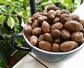 PURE <b>DRIED</b> MALVA NUTS WHOLE HERB CLEAN LABEL <b>PLANT</b> BASED FROM VIETNAM - Product Image 2