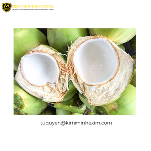 Carne de coco joven congelada IQF orgánica de alta calidad Suministro a granel de patrón completo de grado de exportación Premium con envasado al vacío - Product Image 3